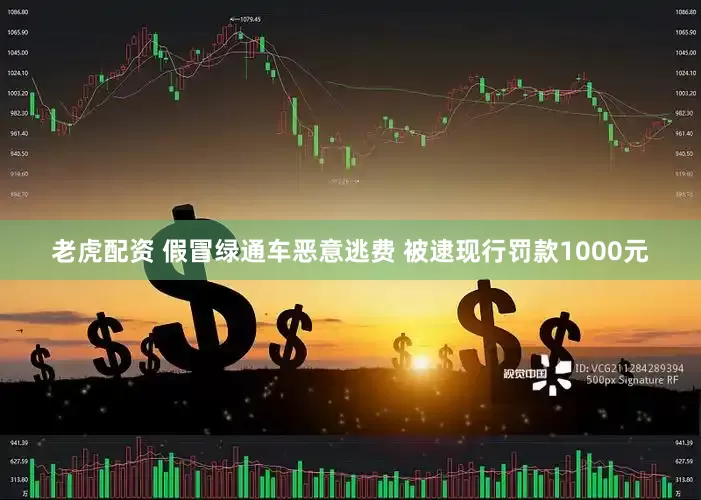 老虎配资 假冒绿通车恶意逃费 被逮现行罚款1000元