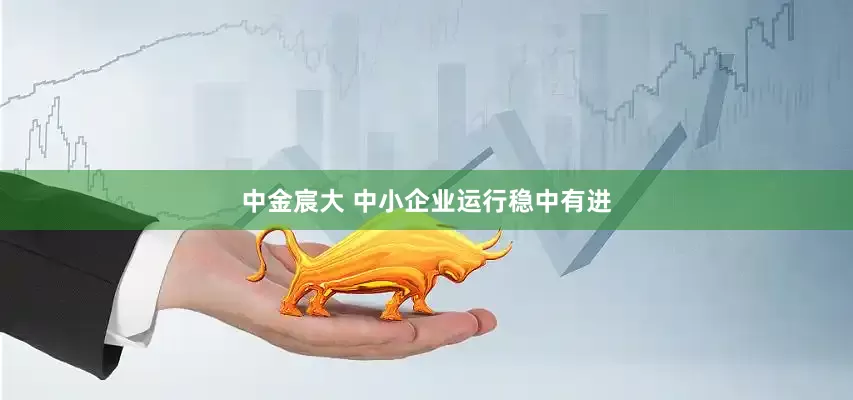 中金宸大 中小企业运行稳中有进