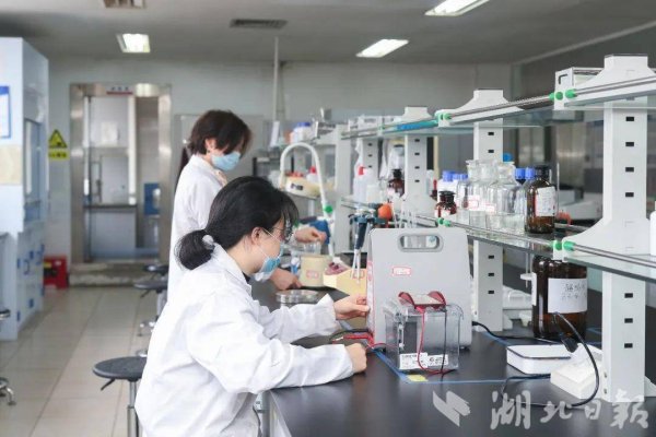 百进配资 24小时内灭蚊率90%   鄂产生物灭蚊制剂驰援广东防控基孔肯雅热