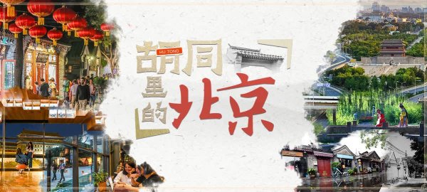 锦富优 前门南火扇胡同里藏了座“都市绿洲”！一杯咖啡换一下午静谧