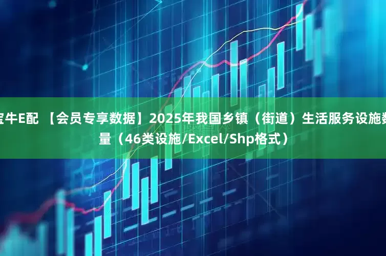 宝牛E配 【会员专享数据】2025年我国乡镇（街道）生活服务设施数量（46类设施/Excel/Shp格式）